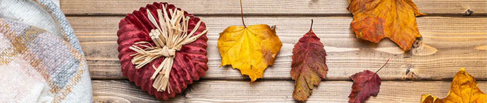 Fall-HEX-divider1-ed
