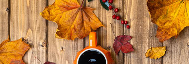 Fall-HEX-divider2-ed