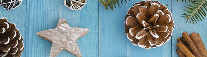 Winter-HEX-divider2-crop
