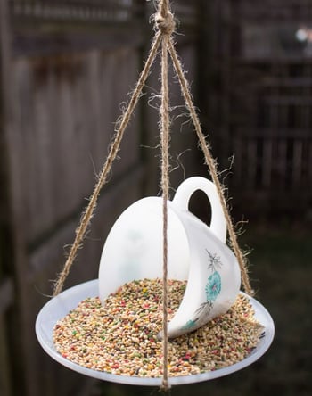 bird feeder