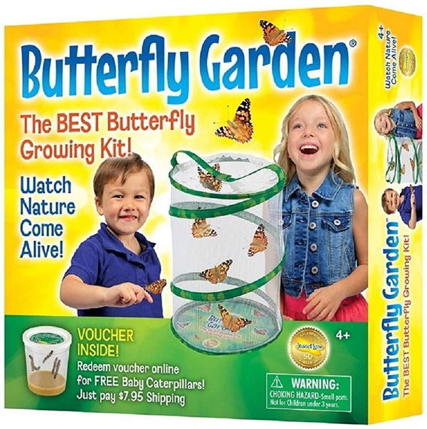 butterfly-garden600